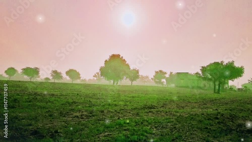 landscape with field and sky