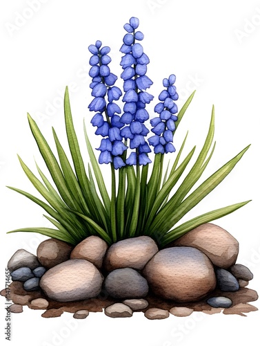 Blue Flowering Plant with Stones and Grass photo