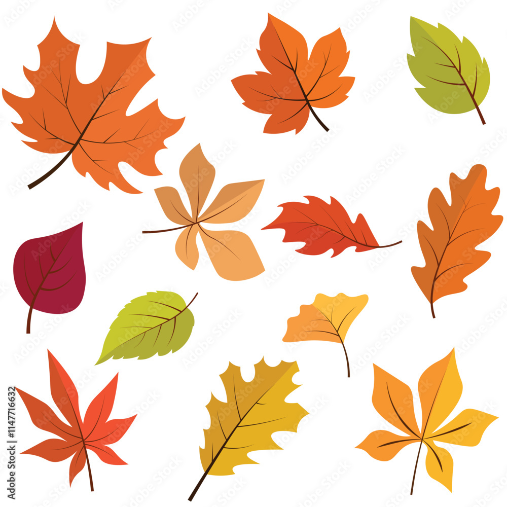 Fototapeta premium Autumn Leaves