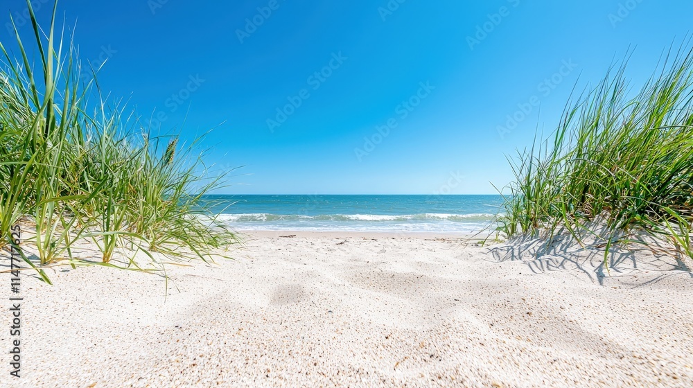 Seascape view through beach grass, white sand, blue ocean, sunny sky. Seascape view through beach grass, white sand, blue ocean, sunny sky.