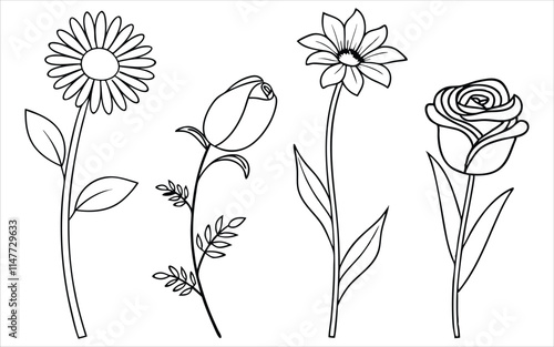 Elegant line art featuring a daisy, rosebud, sunflower, and fully bloomed rose. Suitable for botanical illustrations, nature-themed designs, and educational resources.