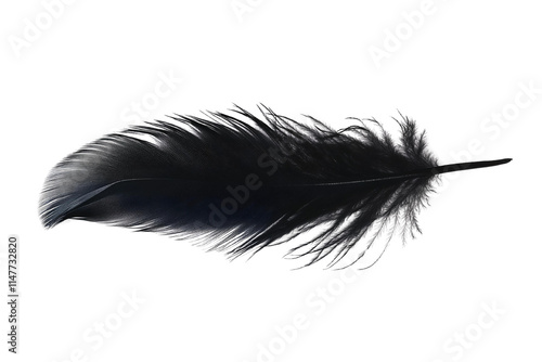 black feather on white background detailed macro shot photo