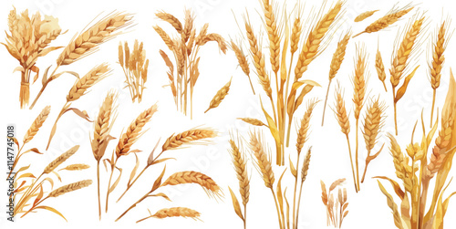 wheat watercolor clipart