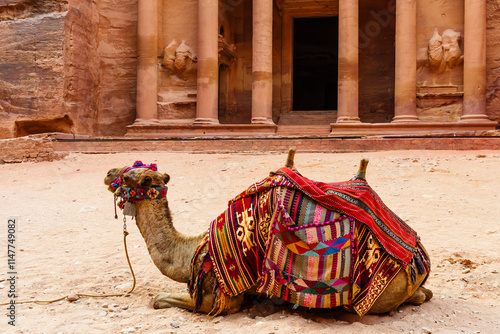 A majestic camel adorned with colorful textiles sits in front of the iconic Treasury building in the ancient city of Petra, Jordan. photo