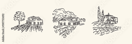Hand drawn sketch vineyard landscapes