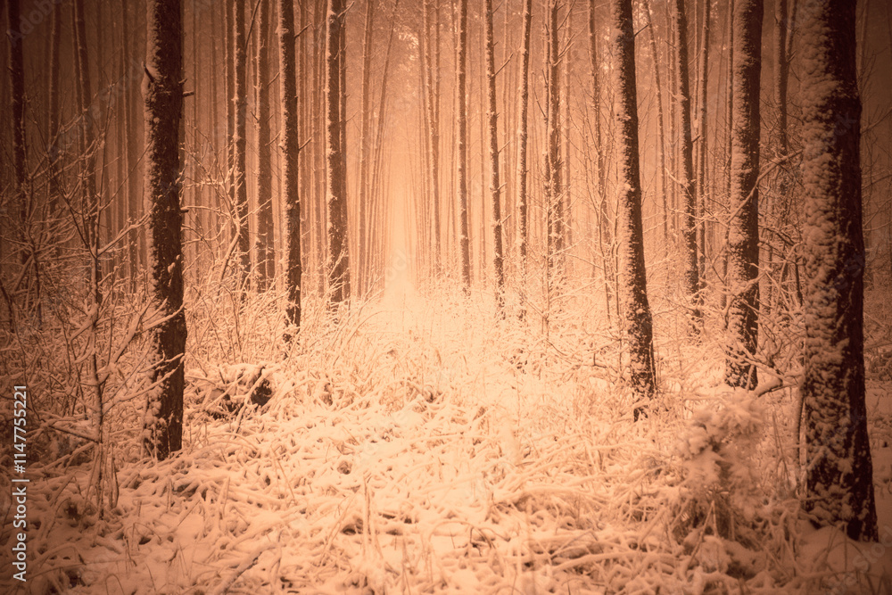 Pine forest covered with snow in mocha mousse trendy color