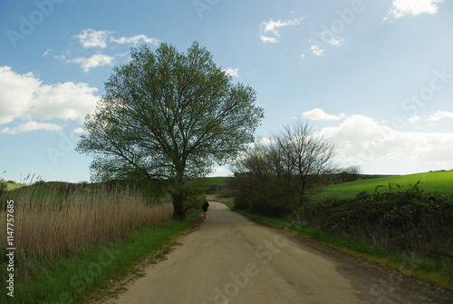 A runner who runs in the uncontaminated nature photo