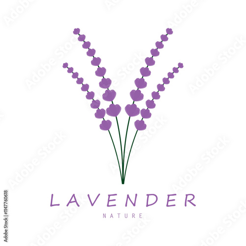 purple lavender flower logo, for flower gardens, parks, business, cosmetics, fashion, vector