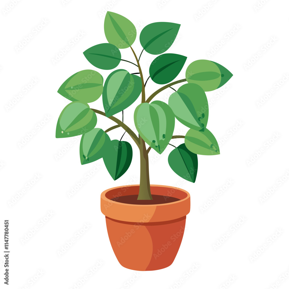 Potted hoya plant with lush green leaves displayed against a clean white background for modern home decor inspiration Potted hoya plant with lush green leaves displayed against a clean white background for modern home decor inspiration