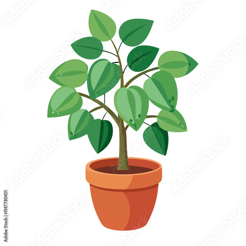 Potted hoya plant with lush green leaves displayed against a clean white background for modern home decor inspiration