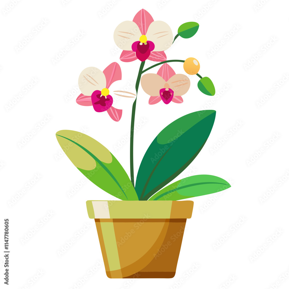 Beautiful potted orchid displaying delicate flowers against a clean white background in a bright environment Beautiful potted orchid displaying delicate flowers against a clean white background in a bright environment