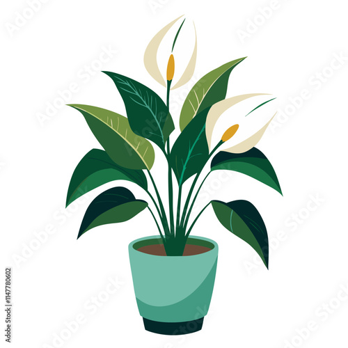 Elegant peace lily plant in a modern pot against a clean white background for home decor