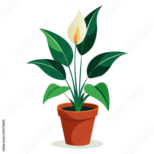 Potted peace lily plant with green leaves and flower on plain white background for home decor ideas