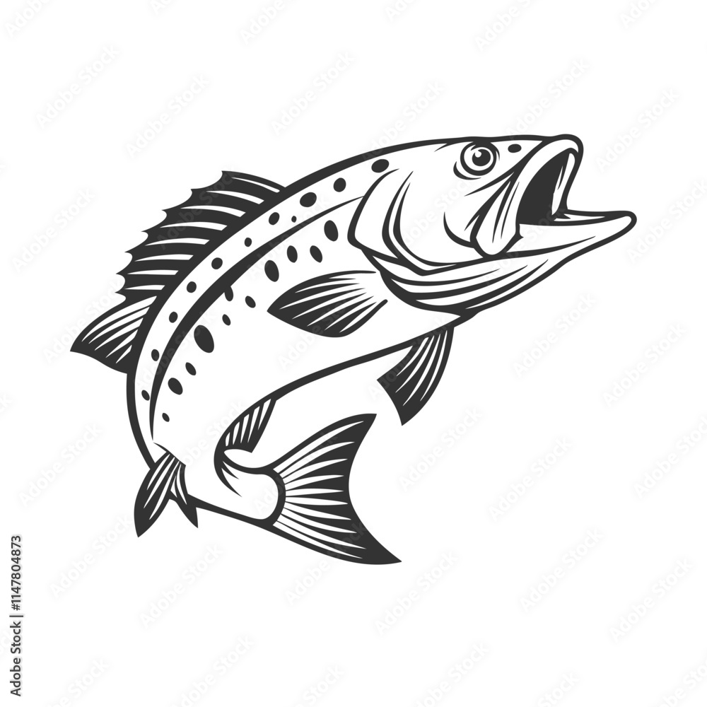 Fototapeta premium Chilipepper Rockfish Vector Art and Illustration