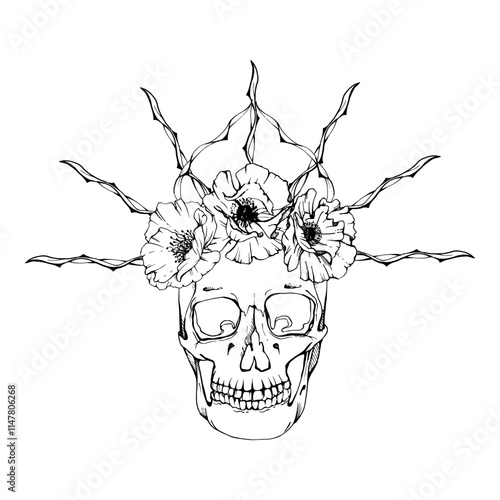 Cinco de Mayo human skull in spiked crown, poppy peony anemone. Mexican holiday Day of the Dead symbol. Hand drawn ink vector isolated illustration. Travel, vacation brochure, gift shop, fiesta ticket