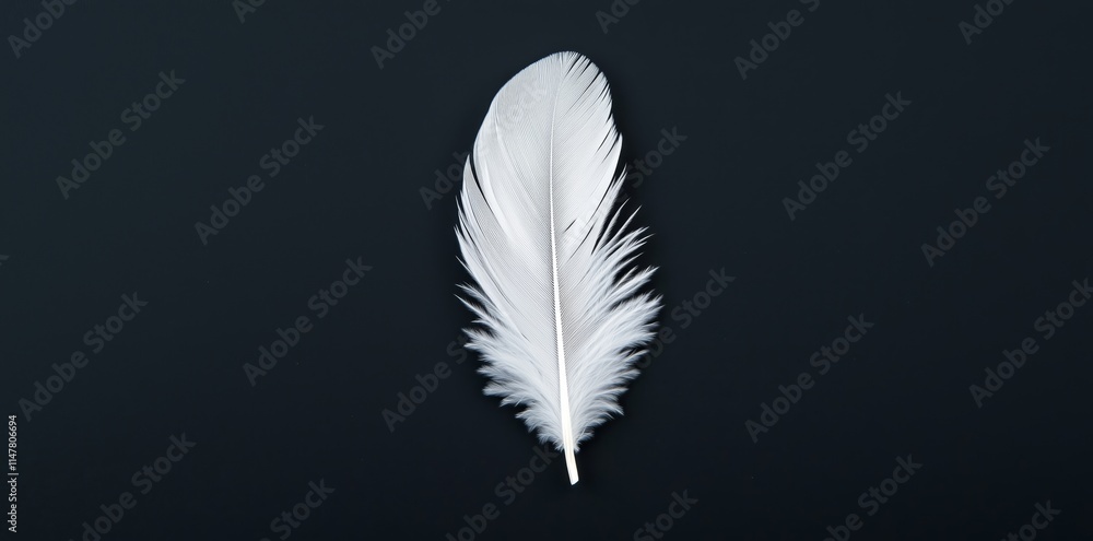 A minimalist composition of a single white feather against a stark black background. A minimalist composition of a single white feather against a stark black background.