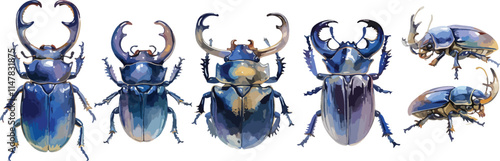 beetle watercolor clipart