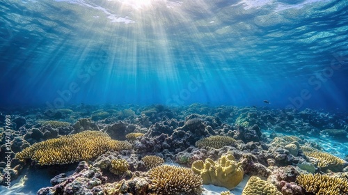 Wallpaper Mural Sunbeams illuminate vibrant coral reef underwater. Torontodigital.ca