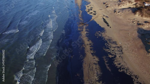 Wallpaper Mural Coastal beach contaminated with oil spill Torontodigital.ca