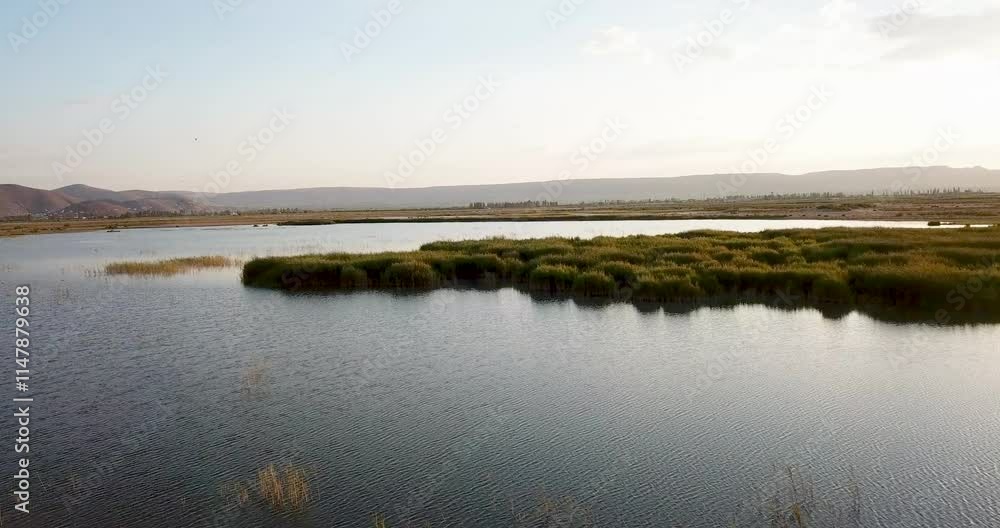 Drone view of Sultan Reed Pond in Kayseri, Turkey. This natural reserve serves as a wintering area for many birds. Drone view of Sultan Reed Pond in Kayseri, Turkey. This natural reserve serves as a wintering area for many birds.