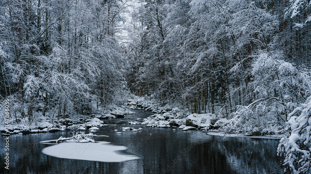 Finland. River in a Forest covered in Snow Finland. River in a Forest covered in Snow