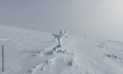 Mon bonhomme de neige