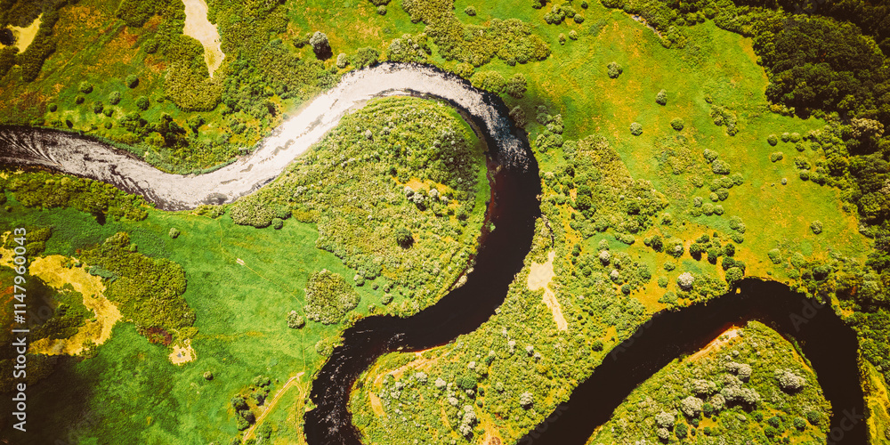 Aerial View Green Forest Woods And River Landscape In Sunny Spring Summer Day. Top View Of Beautiful European Nature From High Attitude In Autumn Season. Drone View. Bird's Eye View