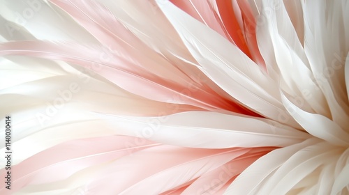 Wallpaper Mural A close up of a pink and white feather background Torontodigital.ca
