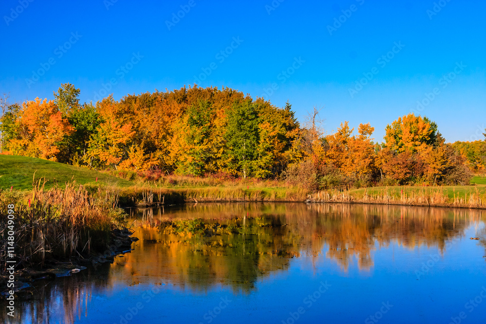 A beautiful lake with trees in the background A beautiful lake with trees in the background