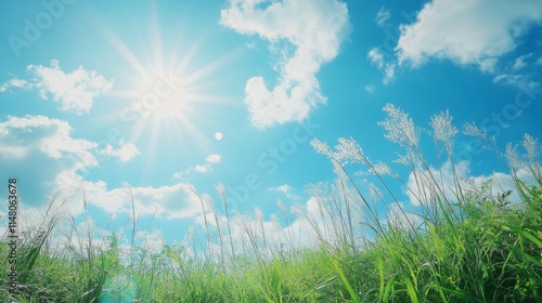 Vibrant summer scene with bright sun, fluffy clouds, and lush green grass under a clear blue sky.