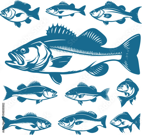 Collection of various fish illustrations.