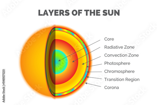 Layers of the Sun - Core, Radiative Zone, Convection Zone, Photosphere, Chromosphere, Transition Region, Corona Layer Infographic Illustration
