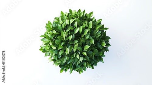 Detailed top-down view of a green bush, showcasing its rich, textured leaves on a pristine white background. photo