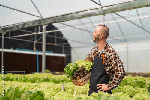 Gardener Harvesting Fresh Vegetables in a Modern Greenhouse with Lush Greenery and Natural Light