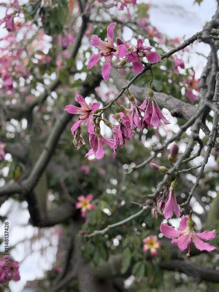 flowers on exotic tree postcard background. High quality photo flowers on exotic tree postcard background. High quality photo