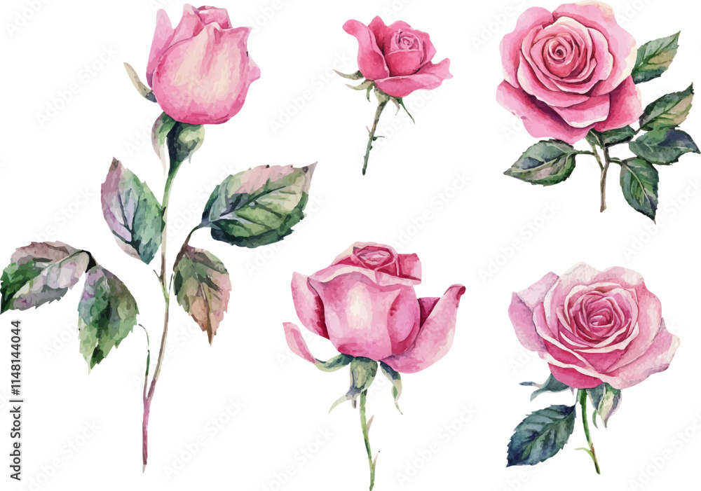 Fototapeta premium set of roses