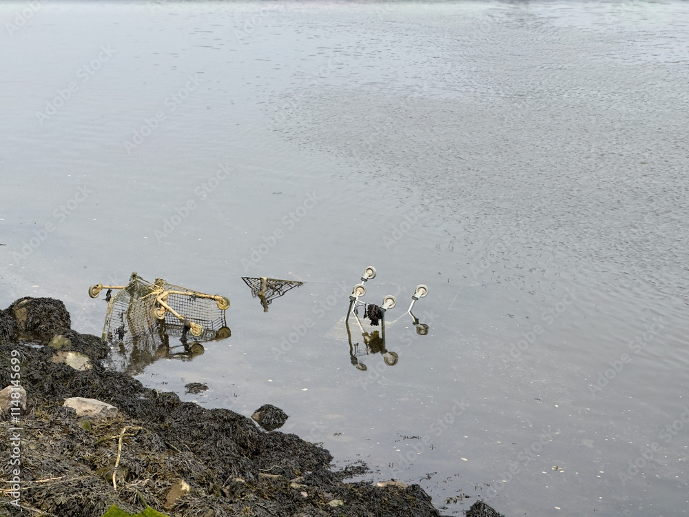 Obraz premium Shopping trolley cart abandoned in river