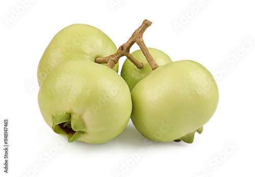 Syzygium jambos isolated on a white background