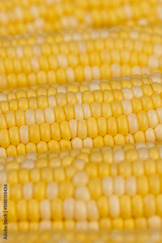 peeled corn cob with yellow and white seeds of different sizes and shades peeled corn cob with yellow and white seeds of different sizes and shades