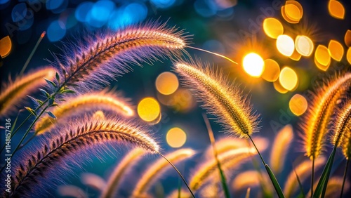 Wallpaper Mural Long Exposure Foxtail Photography: Magical Night Lights & Blurred Motion Torontodigital.ca