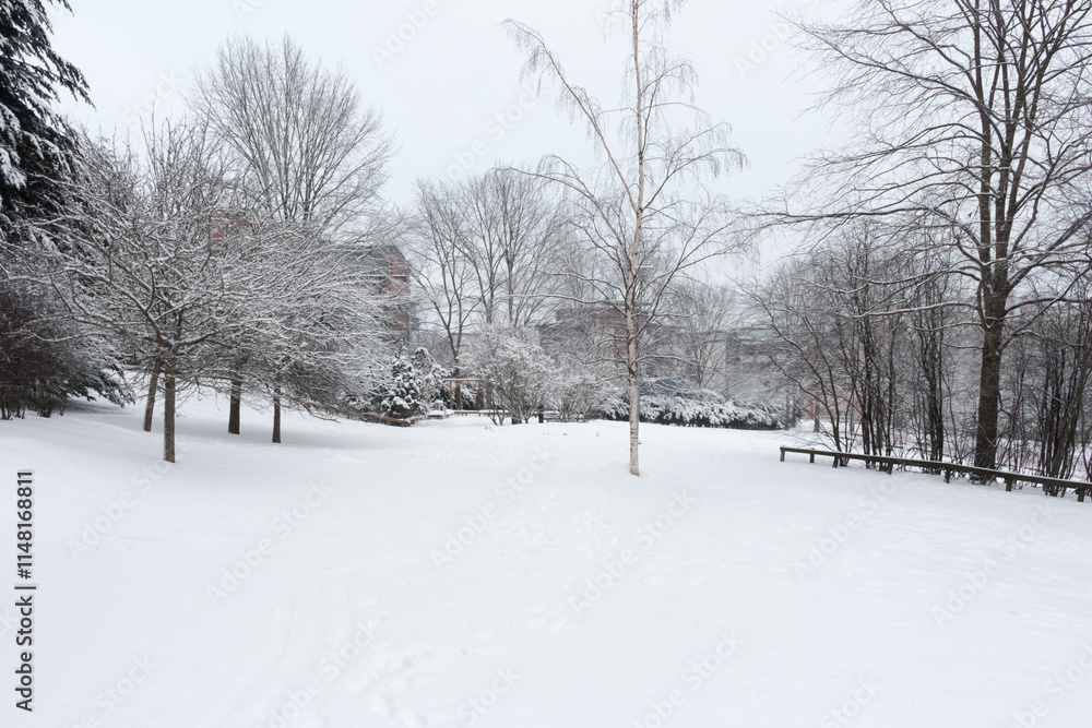 Obraz premium Helsinki Winter