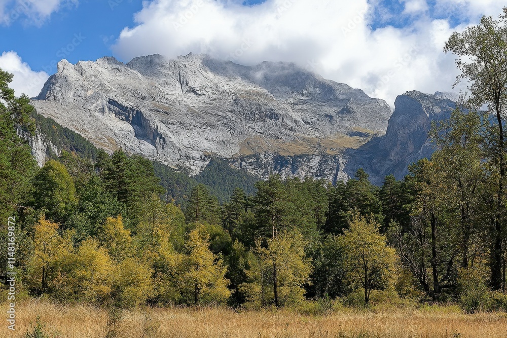 Fototapeta premium A high-altitude view of lush green highlands under a soft, cloudy sky. The foreground feature . Beautiful simple AI generated image