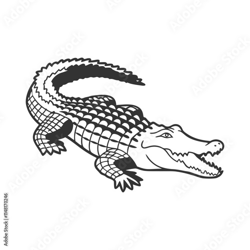 Wallpaper Mural Crocodile Vector Art and Illustration Torontodigital.ca