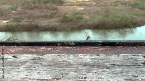 Empty Grunge Wooden Shelf On Landscape Country View Background At Nakhon Phanom, Thailand. 07 Nov 2024. P.M. For Product, Presentation, Display, Mock up. 