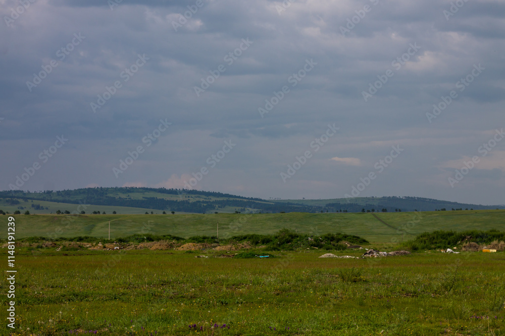 Green meadow in the steppe against the background of the sky Green meadow in the steppe against the background of the sky