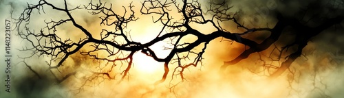 Mystical Sunset Silhouette  Bare Branches  Foggy Sky photo