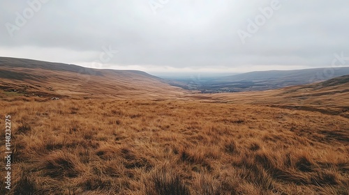 Brown grass valley under cloudy sky.