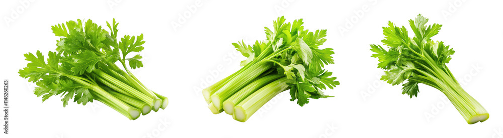 Fresh celery stalks arranged in a row Fresh celery stalks arranged in a row