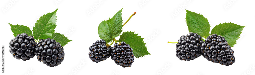 Fresh blackberries with green leaves on a dark background Fresh blackberries with green leaves on a dark background