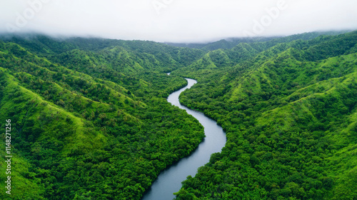 Lush green hills surround winding river in serene landscape